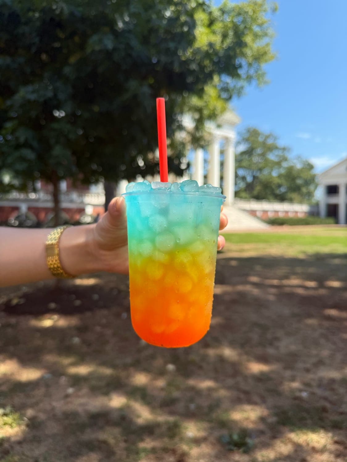 A loaded tea held up in front of the Rotunda, orange fading up into blue