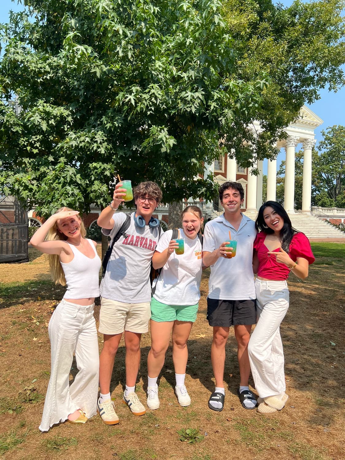 Five friends on the Lawn holding up drinks in different colors